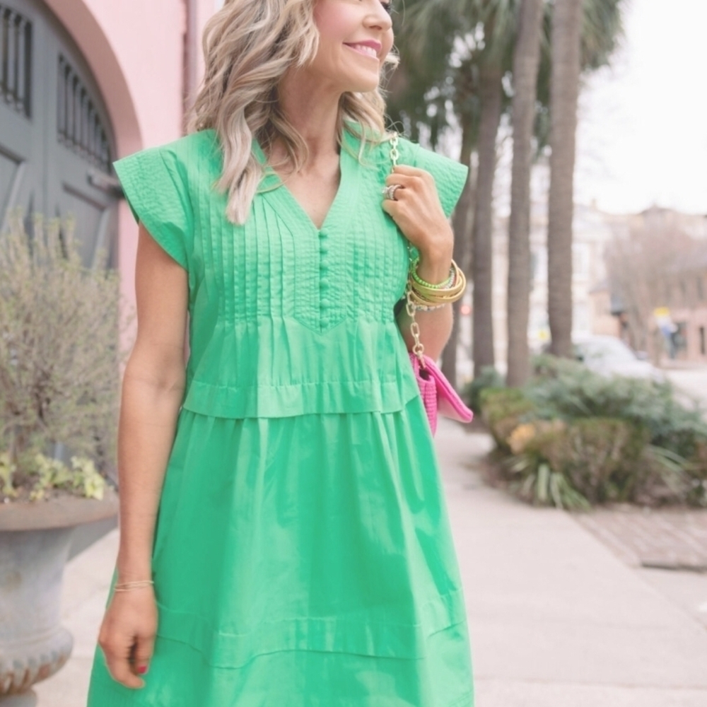 NWT Avara Dress